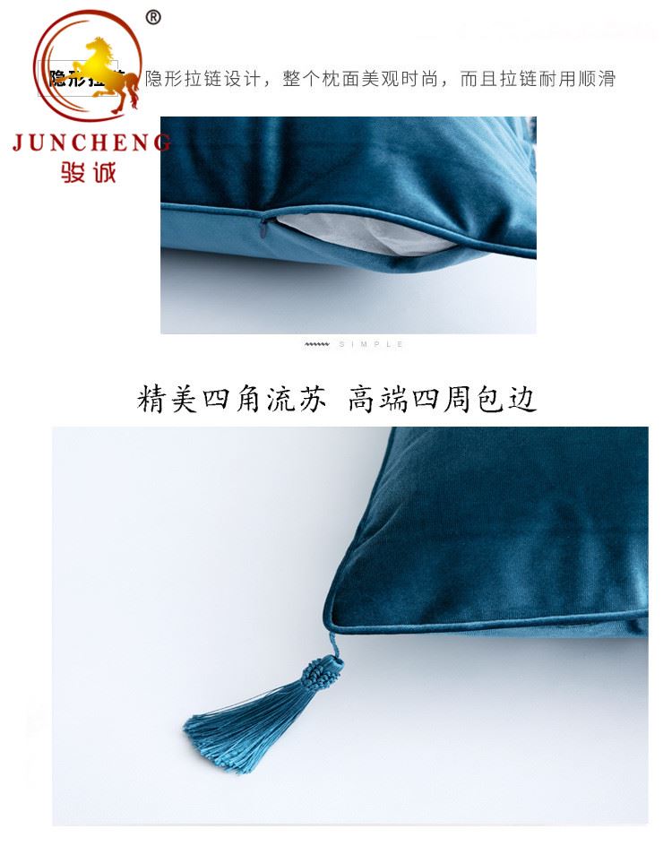 Tassel cushion Tassel cushion